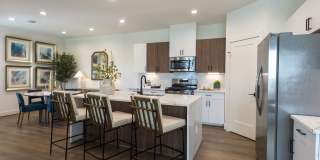 Eden at Sunterra Gallery 5