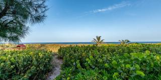 901 Bermuda Gardens Road Gallery 28