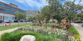 444 Bedford Street unit: Apt 4L Gallery 19