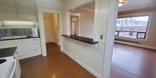 Harvard Gallery 4