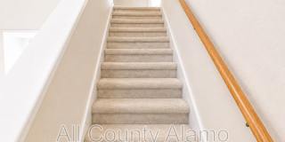 4919 Celtic Corner Gallery 13