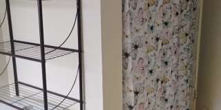 538 State St Gallery 8
