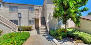 29135 Via Cerrito Gallery 22