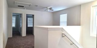 Brand New 2 Story 3/2.5 in Cypress Bluff Gallery 17