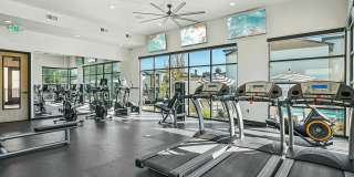 Carrington Square Gallery 31