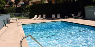 Olive View Gardens Olive View Gardens Gallery 9