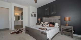 13282 W GOLDEN PUMA Trail Gallery 6