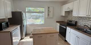 3 BR/1BA | Newly Renovated Single Family Home | Gated backyard | In South Tampa! Gallery 5