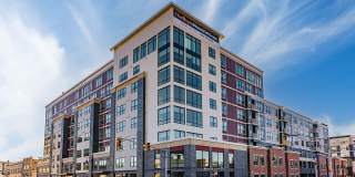 The Royal Bloomfield Gallery 2