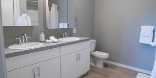 Benson Lights Apartments Gallery 29