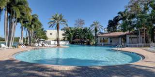 11073 Harbour Springs Circle Gallery 69