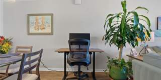 7540 BAY ISLAND DRIVE S Gallery 10