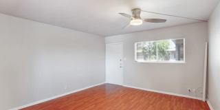 1311 Exposition Boulevard Unit 8, Austin, TX 78703 Gallery 3