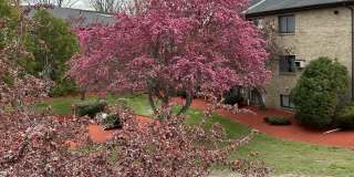 1 Lancelot Court Gallery 1