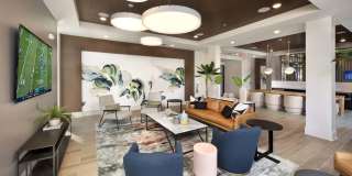 Solena Miramar Gallery 2