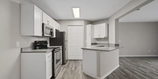 The Falls At Hunters Pointe Gallery 2