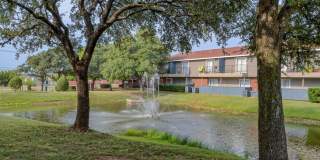 Oak Tree Village Gallery 51