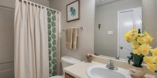 St. Germaine Gallery 7