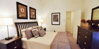 Chestnut Creek Gallery 11