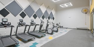 Vantage on Hillsborough Apartments Gallery 21