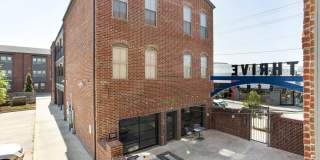 Thrive Argenta Gallery 5