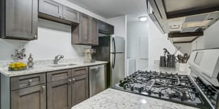 Chelsea Apartments Chelsea Apartments Gallery 1