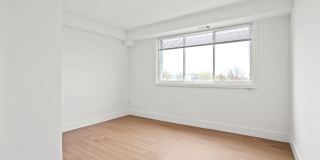Horizon Gallery 219
