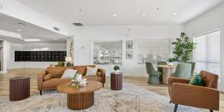 The Q Gallery 6