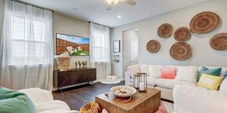 BB Living Light Farms Gallery 14