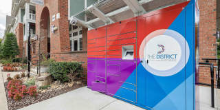 The District Gallery 13