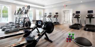 Everly Darien Gallery 21