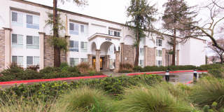 Santa Teresa Gallery 1