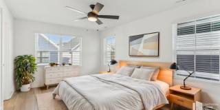 253 Asher Hls Ct Gallery 16