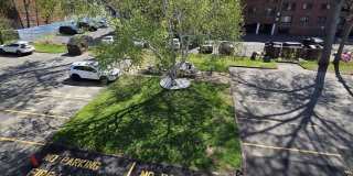 52 Atwood Street Gallery 13