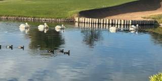 3800 South Cantabria Circle Gallery 1