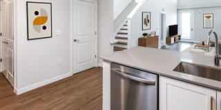 Avalon Harbor Isle Gallery 13