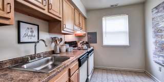 Wilkeswood Gallery 6