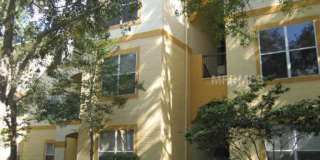 1 bed/1 bath with Den in CARROLLWOOD AREA: 3rd floor unit at The Pinnacle AVAILABLE NOW! Gallery 1