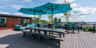 The Chloe Apartments Gallery 38