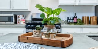 Arbor Trace Gallery 55