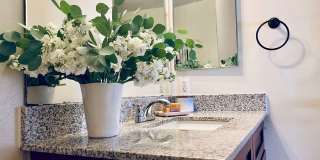 Townhomes at Double Creek Gallery 11