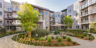 The Asher Gallery 22