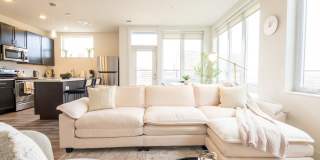 One41 Wellington Gallery 21