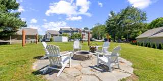 Steeplechase Gallery 26