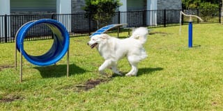 The Addison on Long Bayou Gallery 27