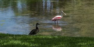 View Carlton Arms Gallery 46