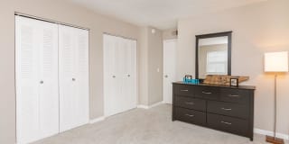 Sussex Downs Gallery 14