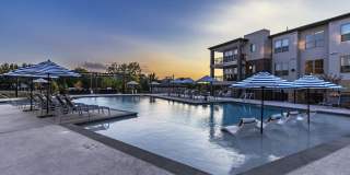 The Warner Gallery 36