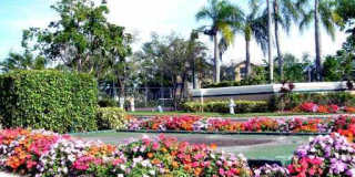 9833 Westview Drive #824 Gallery 18