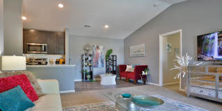 Island Club Gallery 6